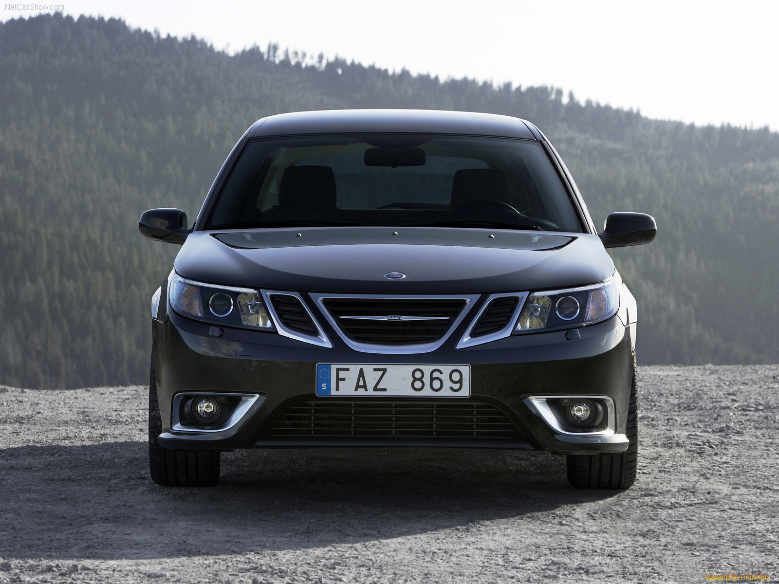 sportcombi, 2008, , saab